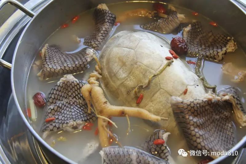 潮汕锅菜_潮汕美食 锅_潮汕锅小料