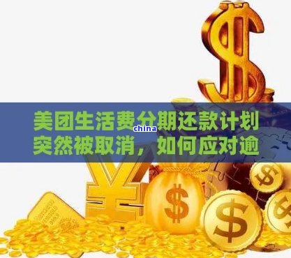 美团生活费减免后如何分期还款？用户可能遇到的问题及解决方案