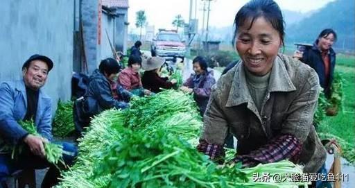 湖北黄石，带你盘点黄石那些地标美食！！看你吃过哪几种？