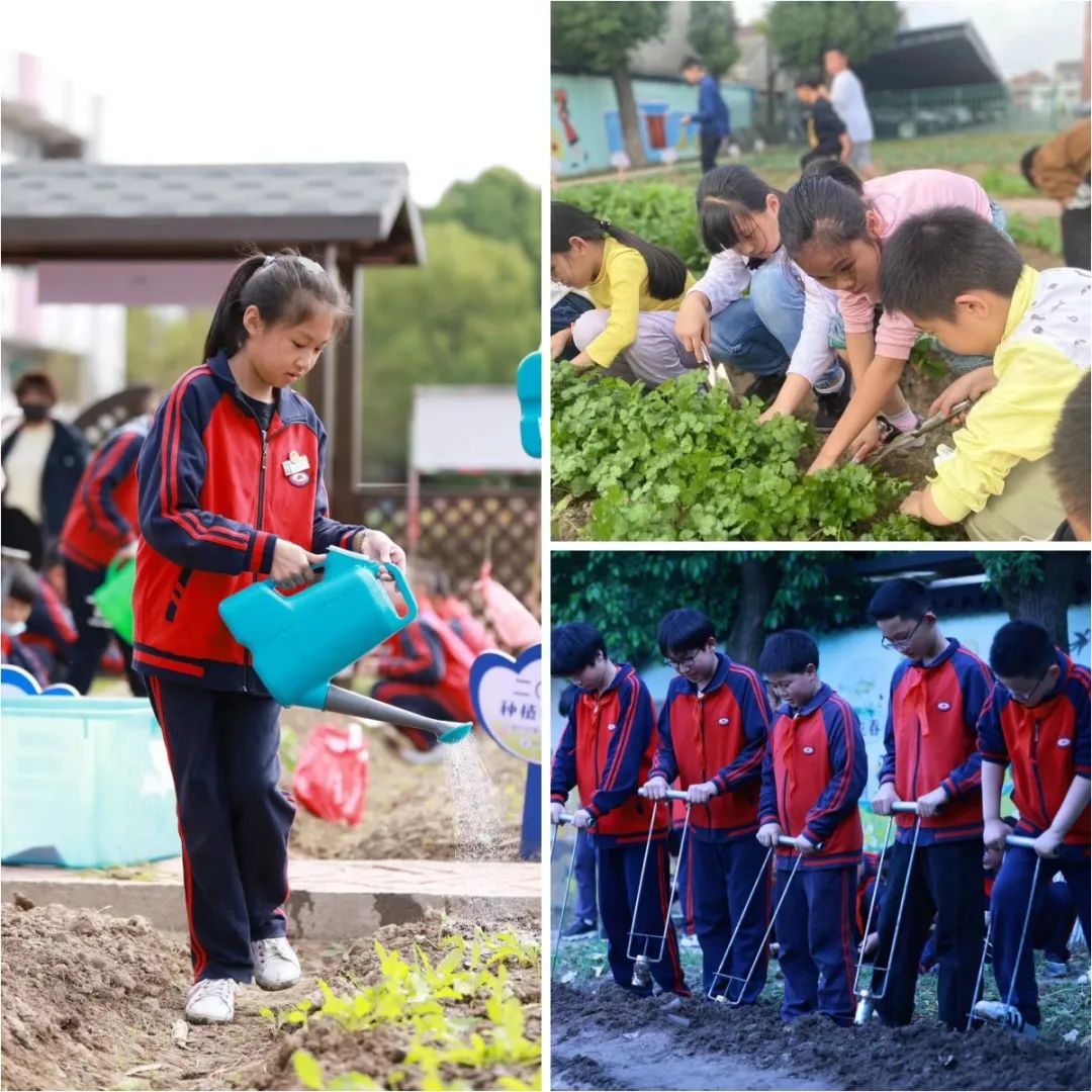 技能教育是什么_生活技能教育的活动主体应该是_本地生活技能教育