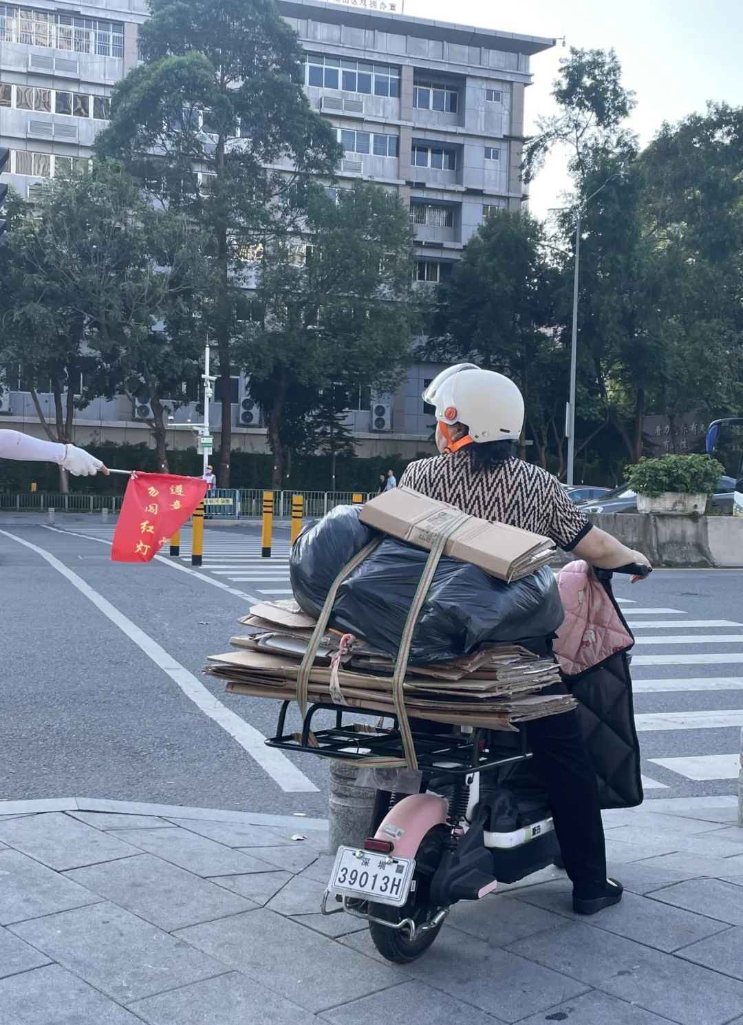 多猫家庭日常农村_猫日常农村家庭怎么养_农村猫咪