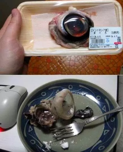 大象粪便咖啡豆_大象粪便咖啡色_大象粪便咖啡