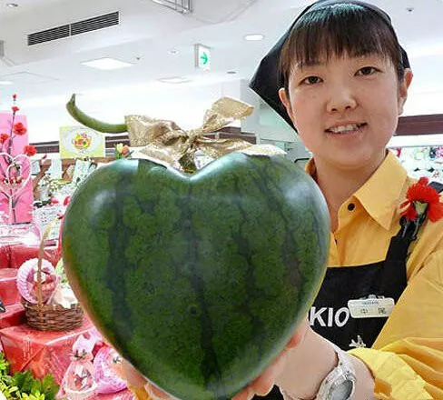 大象粪便咖啡_大象粪便咖啡豆_大象粪便咖啡色