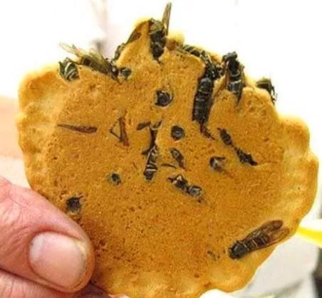 大象粪便咖啡色_大象粪便咖啡_大象粪便咖啡豆