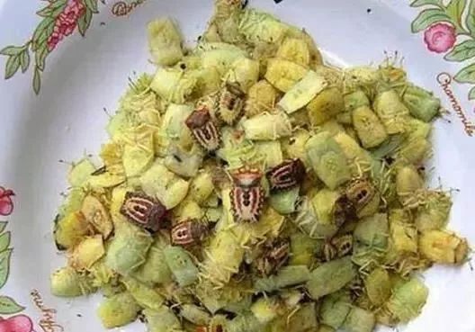 大象屎咖啡的由来_大象粪便咖啡_大象粪便咖啡色