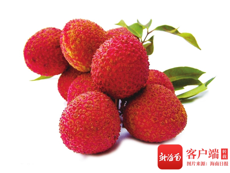 咖啡庄园介绍_品香园咖啡_品香园咖啡粉价格