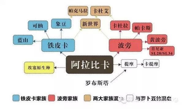 咖啡烘焙师培训费用_烘培师咖啡_咖啡烘焙师一个月多少工资