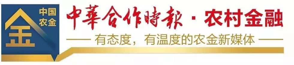 疫情之下的风控生活方式_疫情期间如何做好风控工作_疫情防控下的生活方式