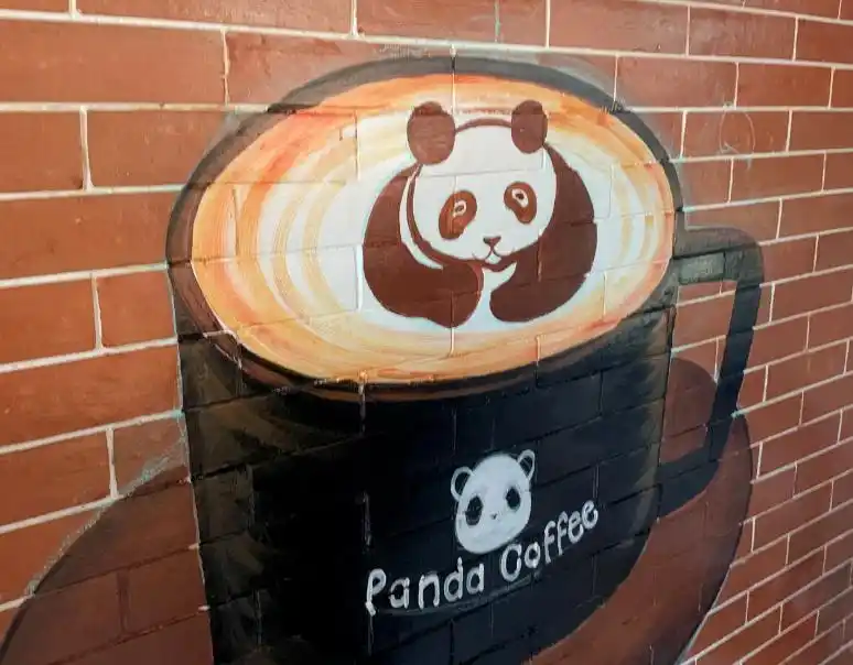 北京猫咖啡馆_猫咖啡店北京_北京网红猫咖啡厅