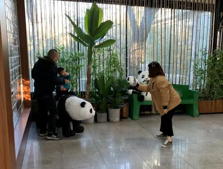 北京猫咖啡馆_北京网红猫咖啡厅_猫咖啡店北京