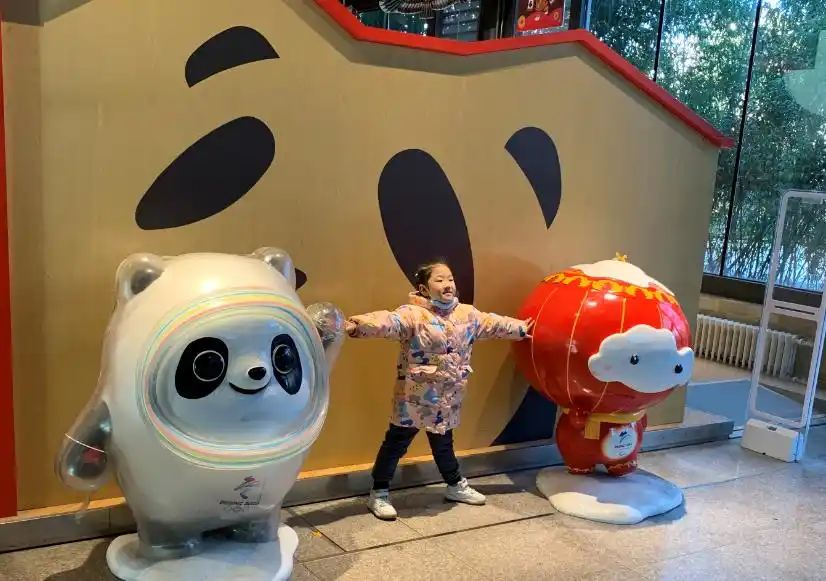北京网红猫咖啡厅_猫咖啡店北京_北京猫咖啡馆